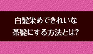 白髪染めで黒髪を明るいきれいな茶髪にする方法とは？